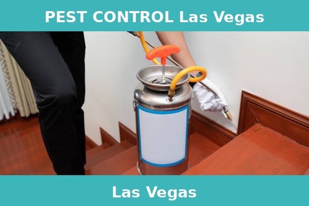 PEST CONTROL Las Vegas